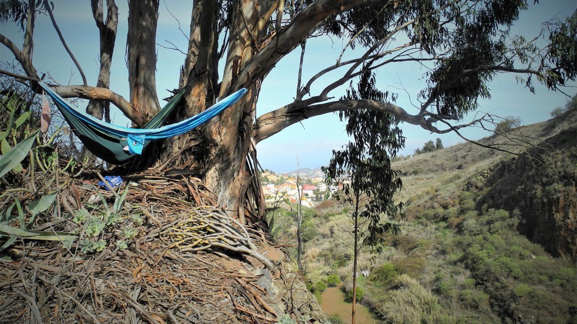 chilling in the mountains of Gran Canaria